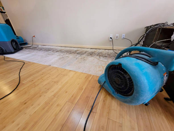 Professional Burst Pipe Water Damage technician working in Sardis, OH